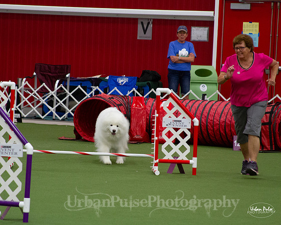 AGILITY_9489