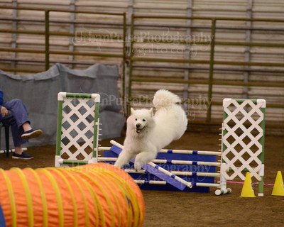 SCA2016_AG MON FAST NOVICE-3581