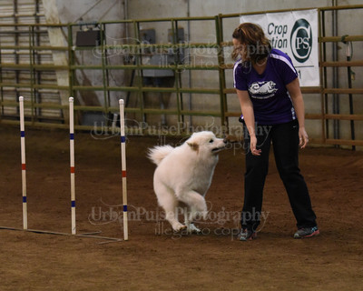 SCA2016_AG MON FAST NOVICE-0115