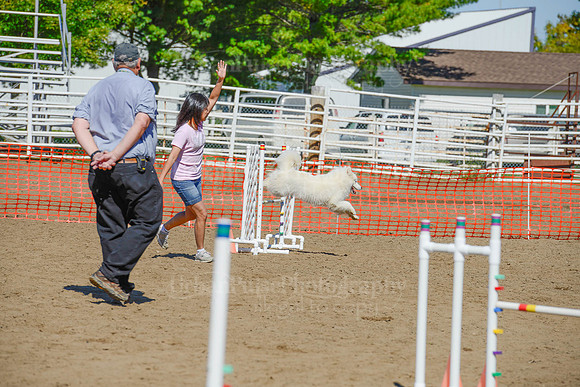 AGILITY-2262