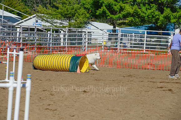 AGILITY-2107