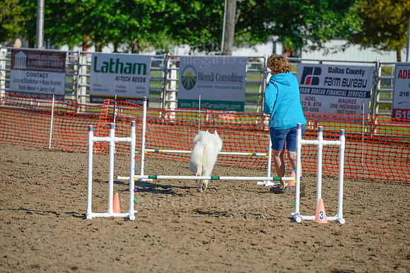 AGILITY-1867