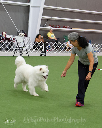 AGILITY_9448