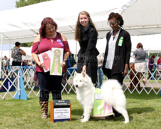 Maya Best in Working Sweeps 2017