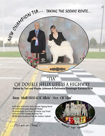 Tia SCA Bulletin Ad 2014 Color