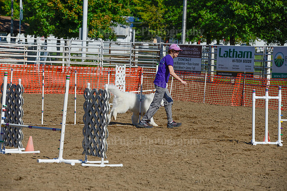 AGILITY-2193