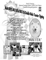 MATER AD 2017