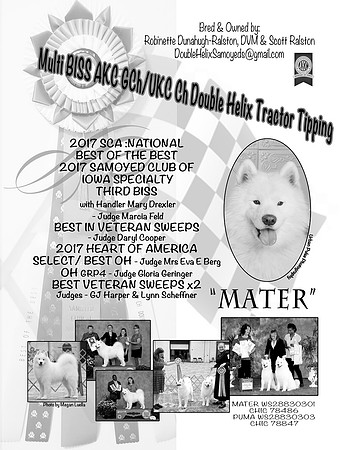 MATER AD 2017