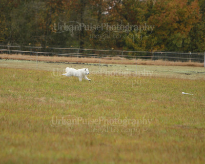 SCA2016_LURE COURSING-7369