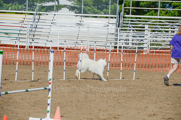 AGILITY-2302