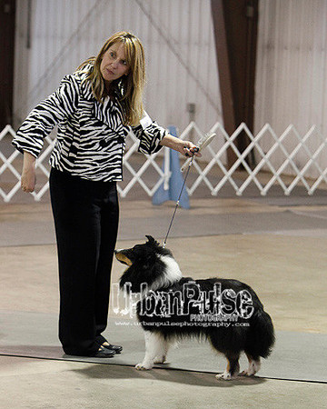 Fargo_2011-4128
