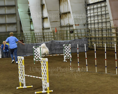SCA2016_AG MON FAST NOVICE-0076