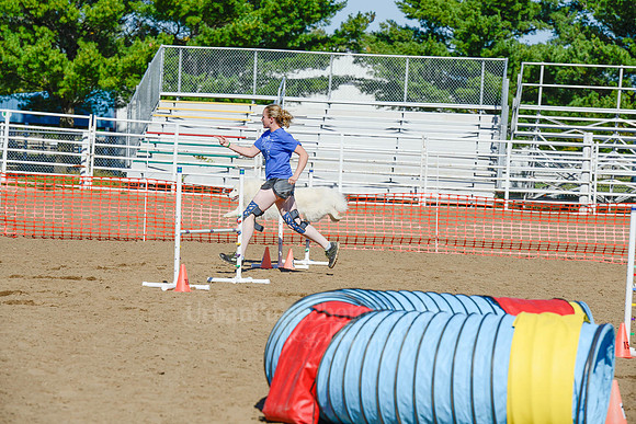 AGILITY-2024