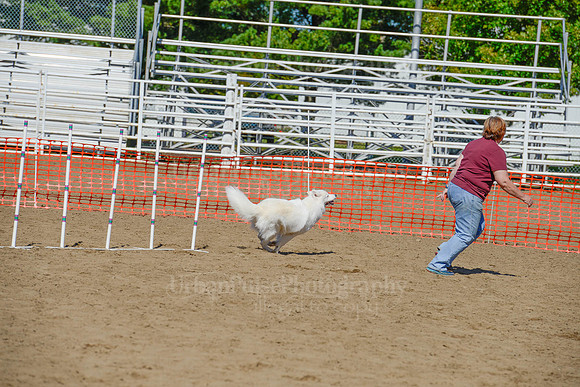AGILITY-2327