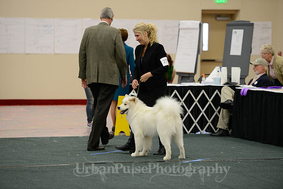 D OPEN-5486 2014 SCA National - 3rd PL