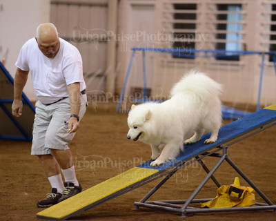 SCA2016_AG MON FAST NOVICE-3524