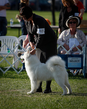 BREED_Finals-8483