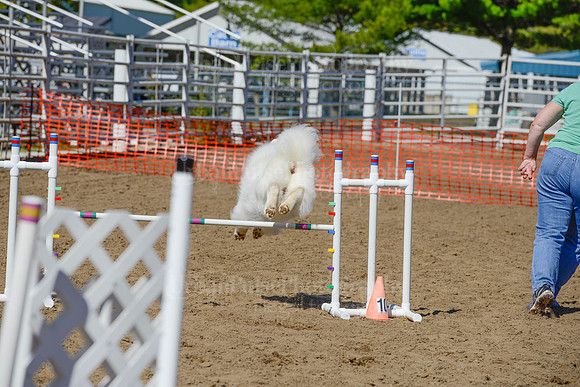 AGILITY-2348