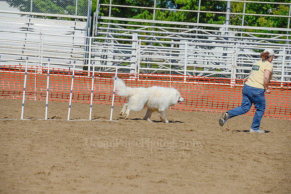 AGILITY-2376