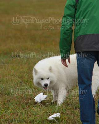 SCA2016_LURE COURSING-7640