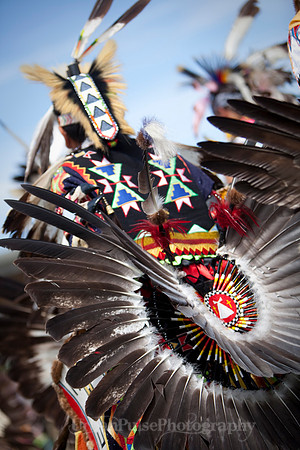 Wacipi_2011-2126
