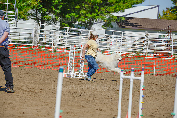 AGILITY-2377