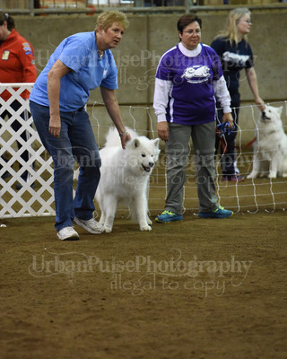 SCA2016_AG MON FAST NOVICE-0072