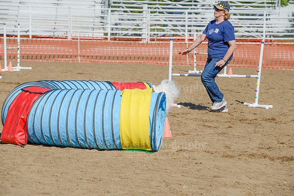 AGILITY-2061