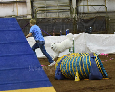 SCA2016_AG MON FAST NOVICE-0079