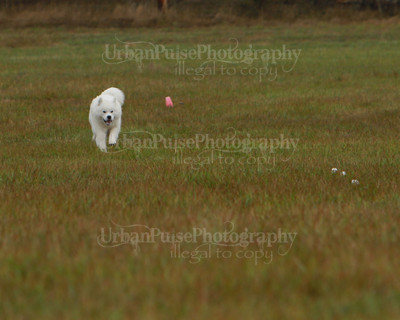 SCA2016_LURE COURSING-7620