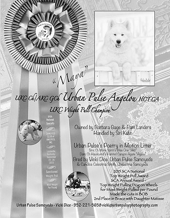 Bulletin Ad 2016-01-16 at 1.39.32 PM