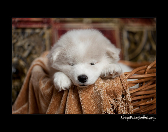 Keats_6weeks_0226