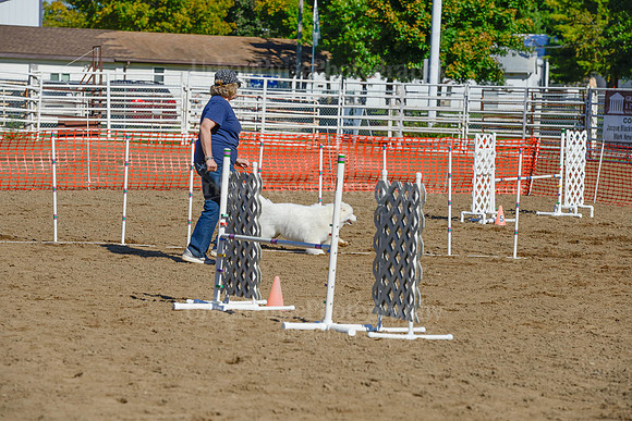 AGILITY-2057