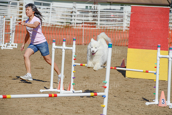 AGILITY-2265
