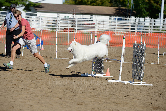 AGILITY-1974