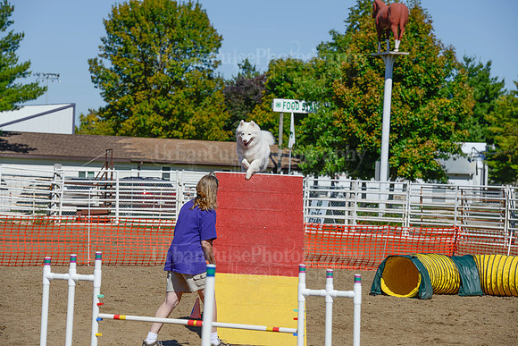 AGILITY-2296