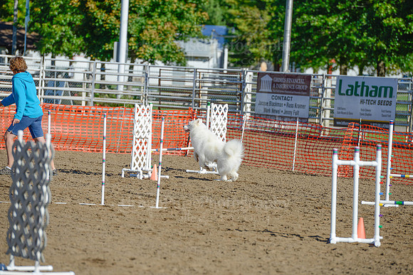 AGILITY-1869