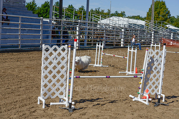 AGILITY-2405