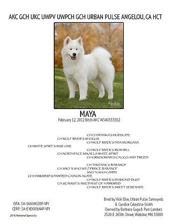 MAYA PEDIGREE BOOK 2016