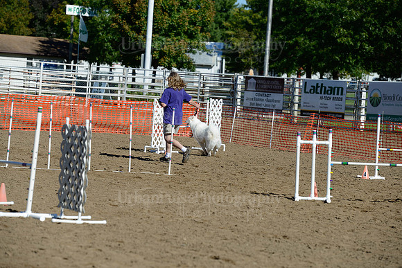 AGILITY-1894