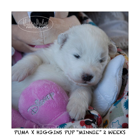 MINNIE_2WEEKS_3439