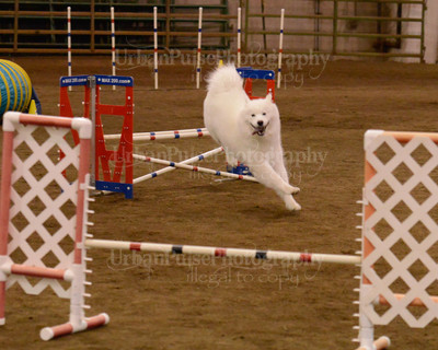 SCA2016_AG MON FAST NOVICE-3535