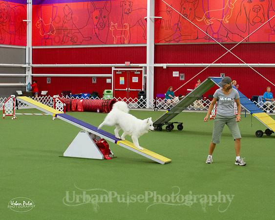 AGILITY_9455