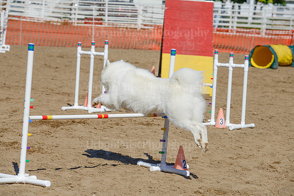 AGILITY-2409