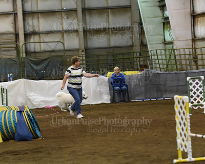 SCA2016_AG MON FAST NOVICE-0070