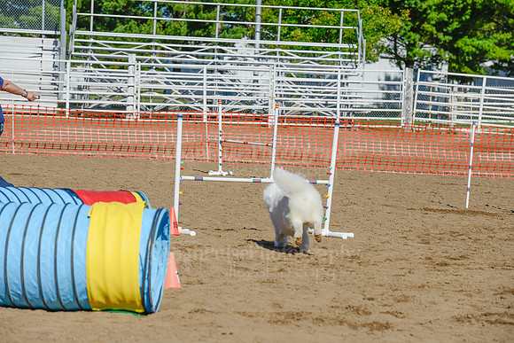 AGILITY-2063