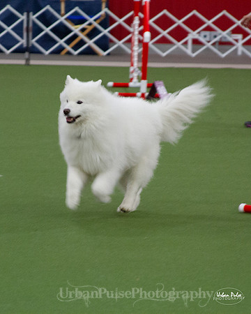 AGILITY_9483