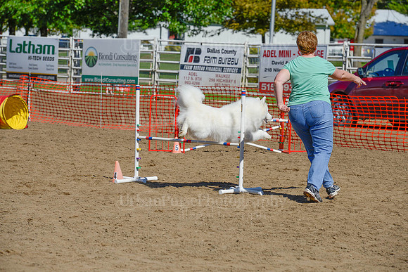 AGILITY-2339