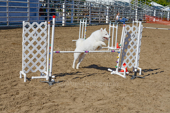 AGILITY-2333