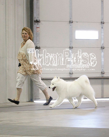 Fargo_2011-4484